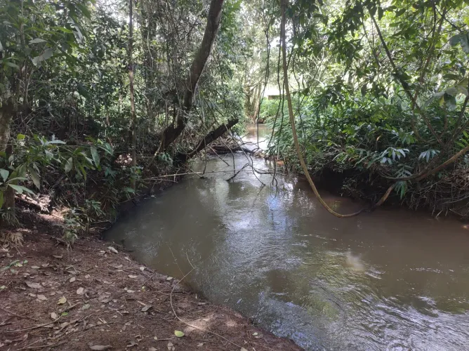 Terreno 2.000m² Ribeirão sozinha