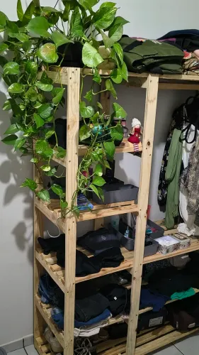Vendo escrivaninha e arara em pinus 