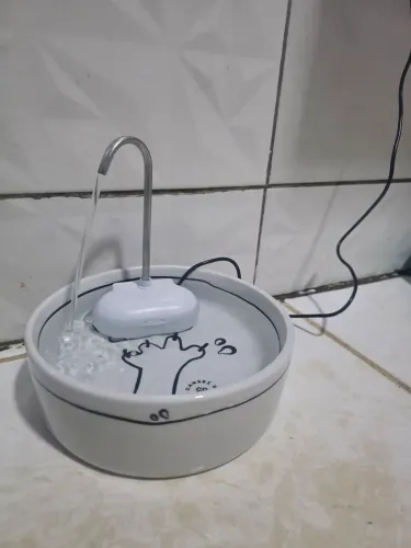 Fonte de gato