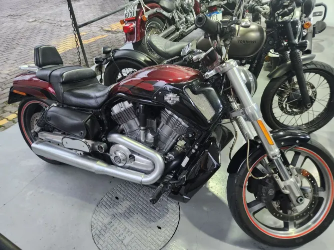 Harley V Rod Muscle 2015 linda