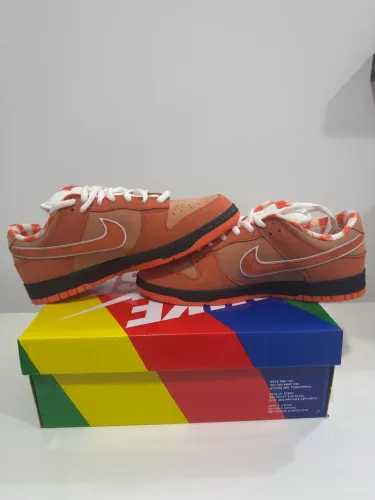 Dunk Orange lobster