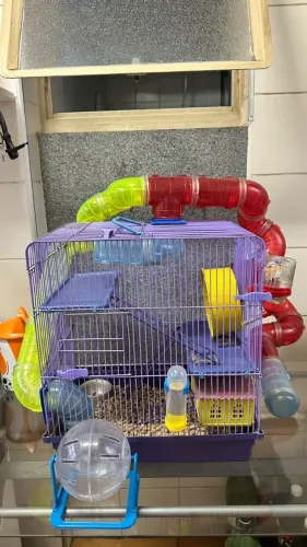 Gaiola 3 Andares com Tubos, Roda e Casinha (sem animal)