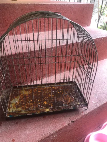 Gaiola para pássaros 