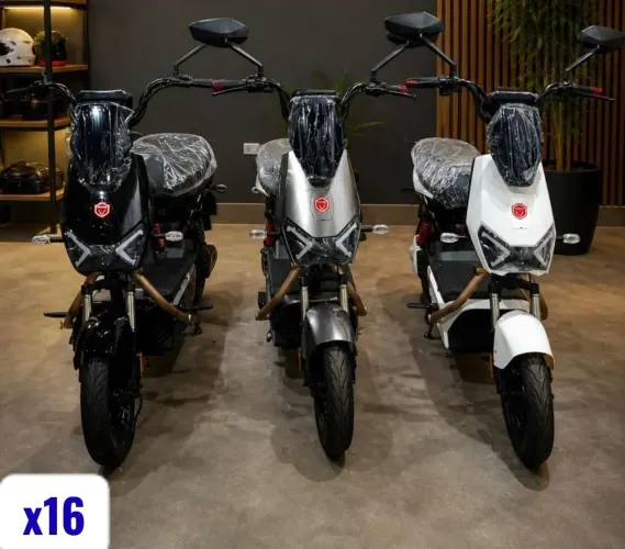 Moto elétrica 1000wast