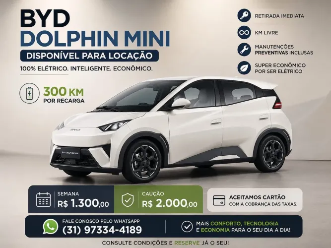 BYD mini Dolphin- DISPONÍVEL PARA LOCAÇÃO 