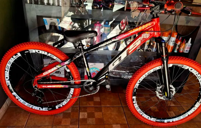 Bicicleta