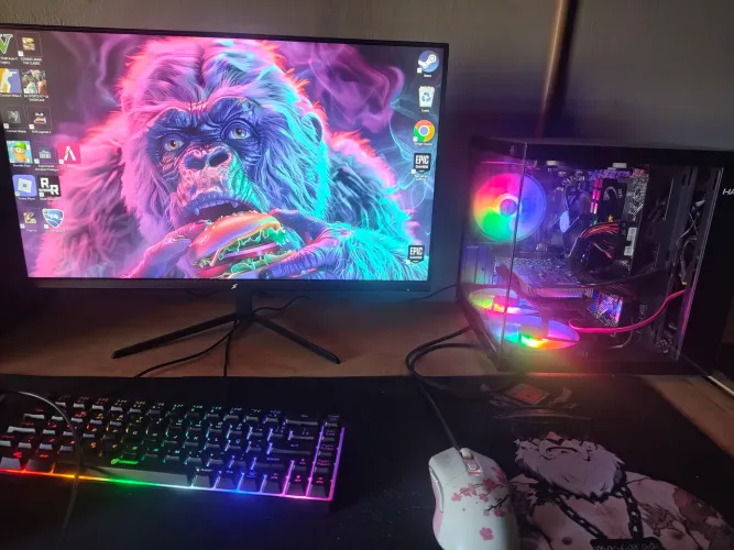 Pc gamer 