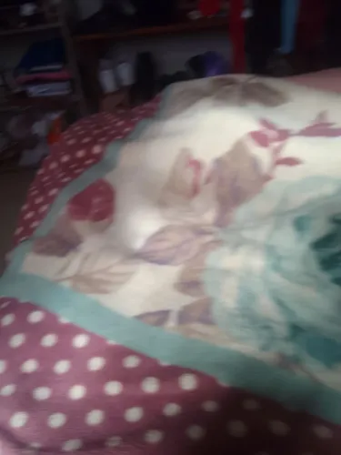 Cobertor de casal