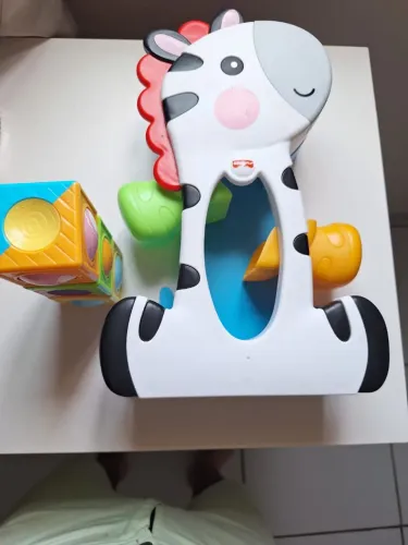 Zebra educativa 
