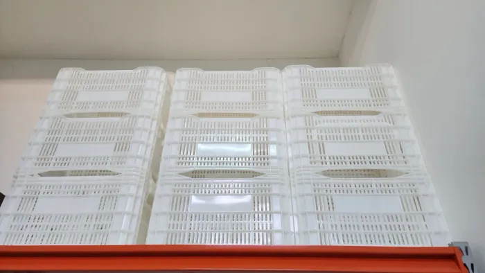 20 Caixas Agrícolas PEAD Virgem para congelamento e hortifruti