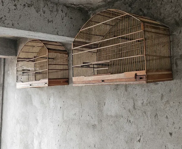 Duas gaiola grande mineirinha tala fina 