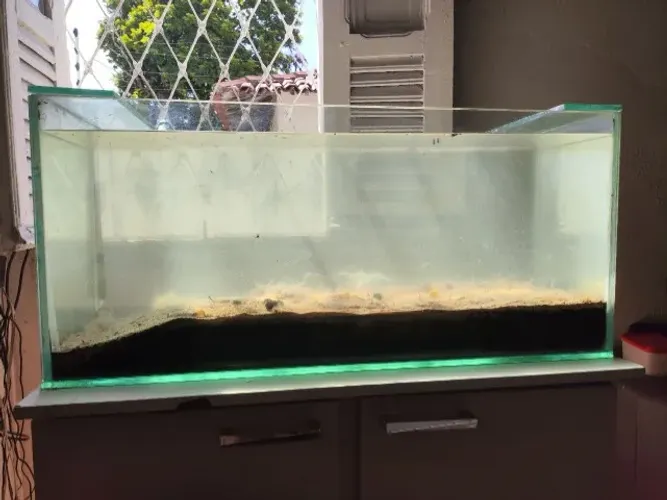Aquário Usado de 126 Litros 90*35*40cm Vidro 10mm