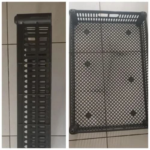 Cesta