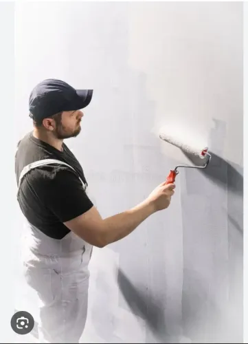 Pintor Profissional 