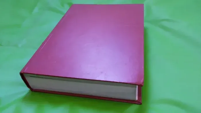 Bíblia De Estudo Vida Nova Tamanho Grande Completa Editora Vida Nova Encadernada Raridade