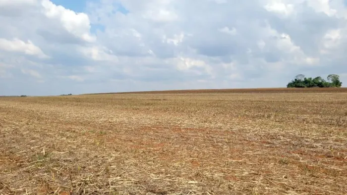 Fazenda 1.000 hect em Canarana MT. 680 de lavoura 