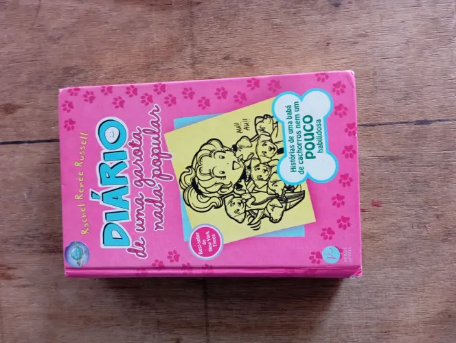 Diário de uma garota nada popular vol. 10