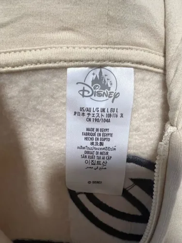 Moletom Disney Parks 2025 - Novo