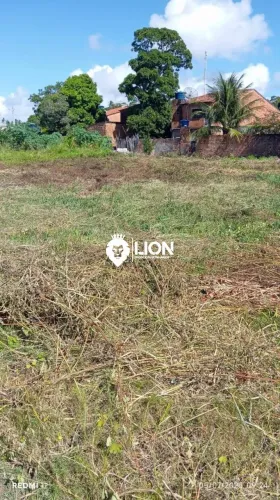 Terreno Para Vender São Miguel Dos Milagres
