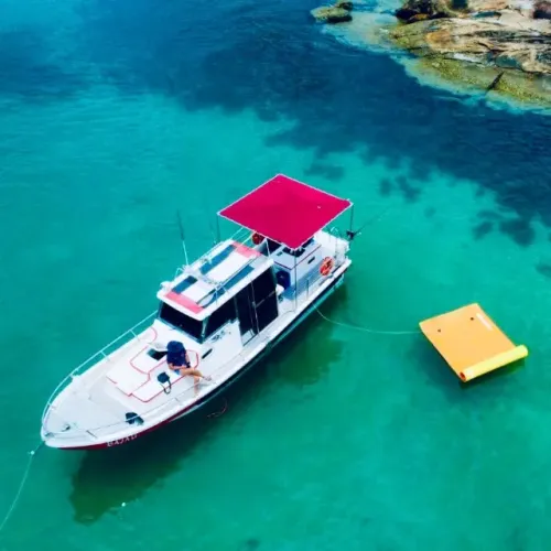 Fishing Vista Oceano 30 c/ Mercruiser 5.0