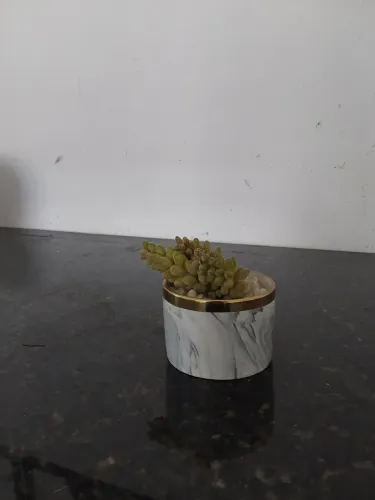 Vaso decorativo pequeno