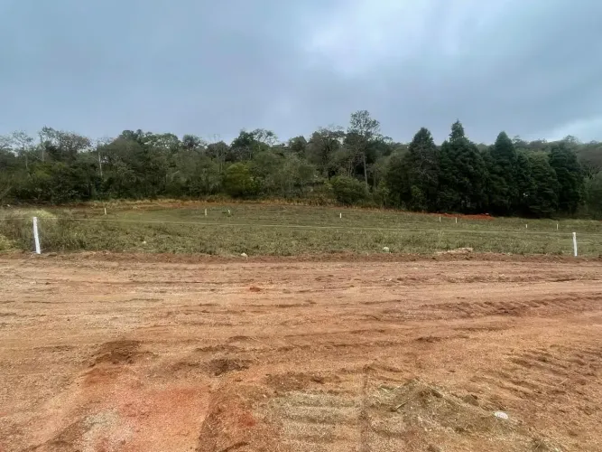 More ou Invista em Cotia  Lotes Prontos para Construir