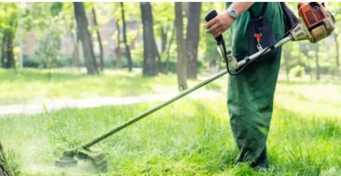 Limpeza de terrenos e jardinagem em geral