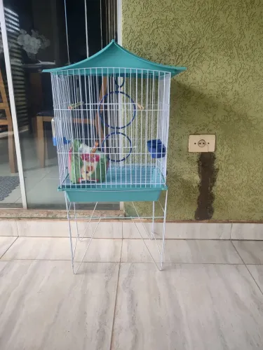 VENDO GAIOLA PARA CALOPSITA