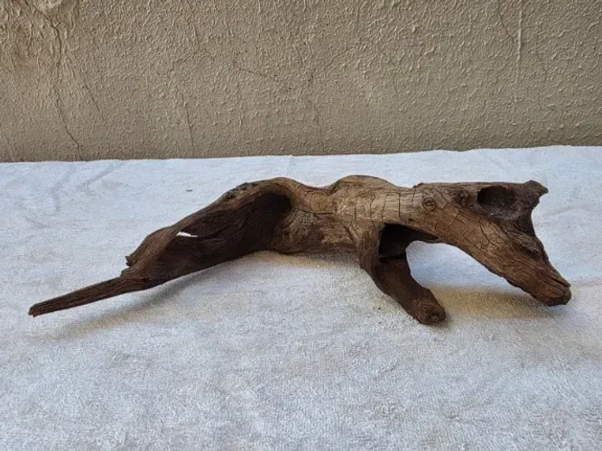 Tronco natural para aquário 33cm | Hardscape aquarismo