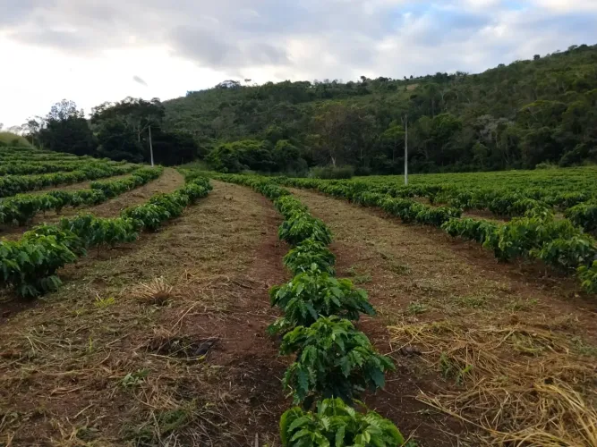 Fazenda no Bonito