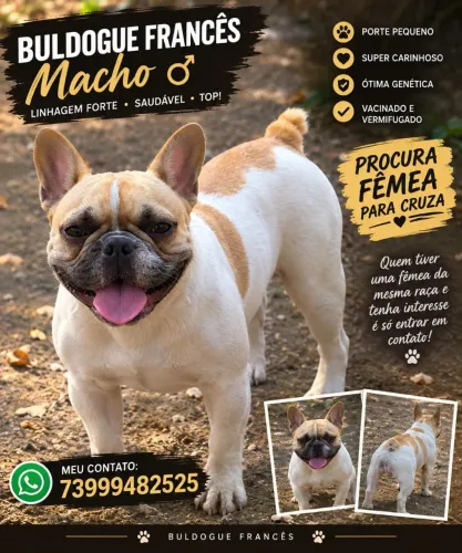 Procura se