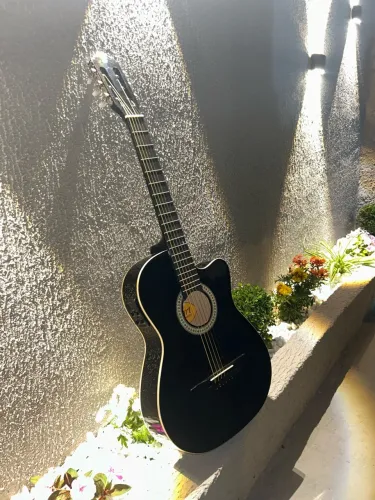 Violão Giannini Eletrônica completo !