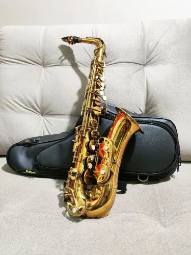 Sax Alto Nikkan Profissional 