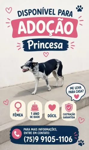 Filhote de 1 ano fêmea disponível para adoção!