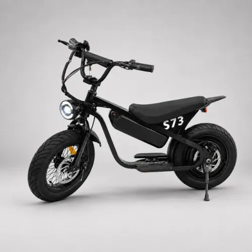 Bicicleta Elétrica S73 500w 36v Aro 14 Bateria Removível