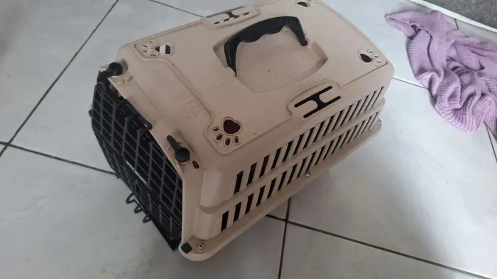 Transportadora de animais 