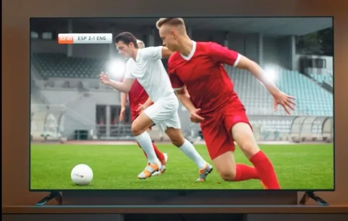 TV TCL DE 55P