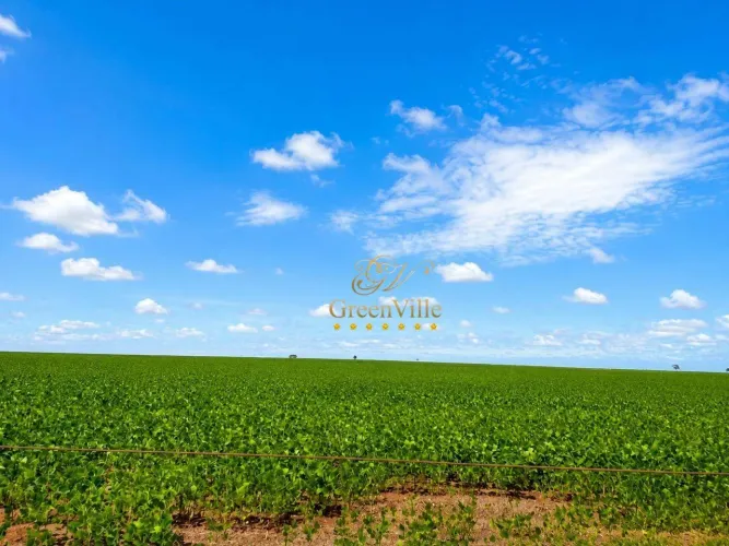 Mato Grosso do Sul | 3.454 Hectares | Excelente Potencial Agrícola e Pecuário