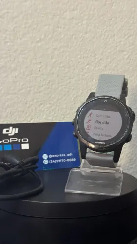 Garmin Fenix 5s Sapphire 
