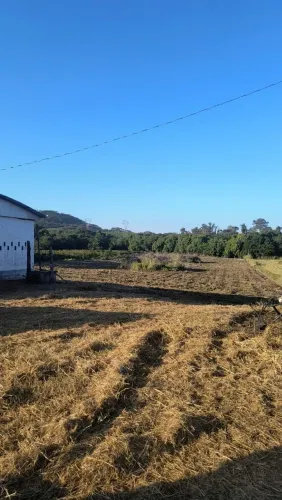 SÍTIO EM MONTE ALTO