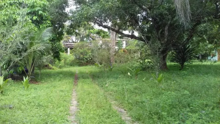 Vendo, alugo e aceito troca uma propriedade em Mata de São João