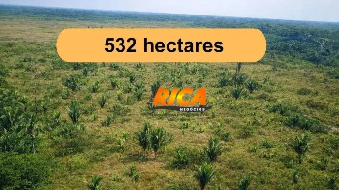 Vende-se Fazenda com 532 hectares no Município de Humaita/AM