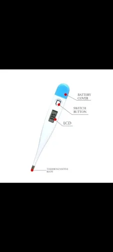 Termômetro digital de temperatura corporal