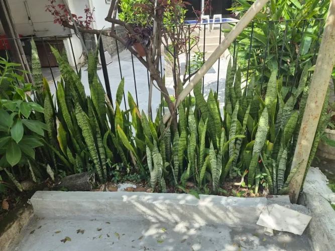 Vendo espada de são jorge