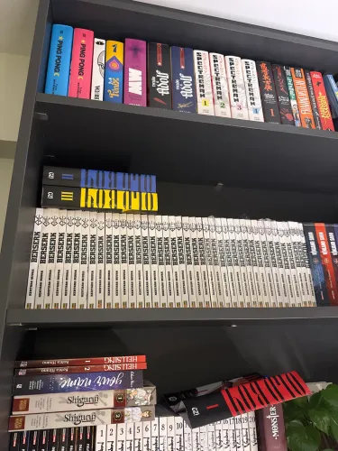 Colecao berserk vol 1 ao 40