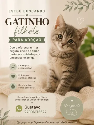 Busco gatinho filhote para adoção