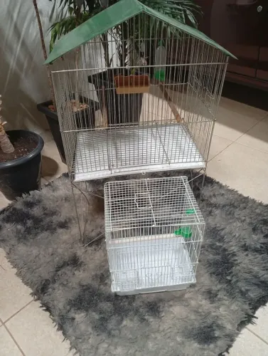 Gaiolas 