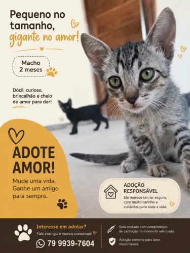 adoção