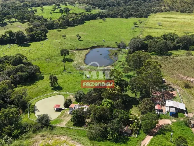 Fazenda 45 alqueires ( 217,8 hectares ) - Vila Propicio - GO