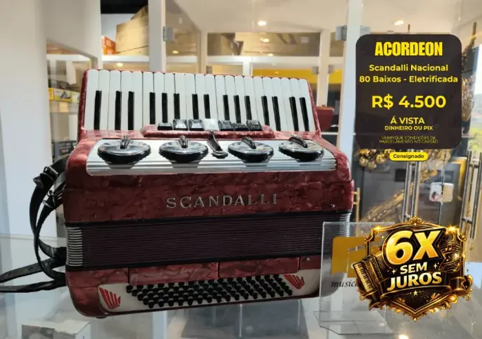 Acordeon 80 Baixos Scandalli - Eletrificada